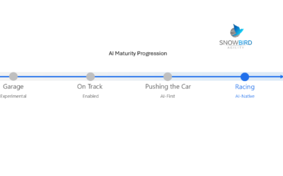Moving Past First Gear: The AI Maturity Progression